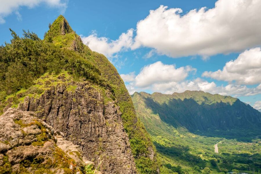 Honolulu: Oahu Island Full-Day Guided Tour by Bus with Lunch - What the bus ride is really like
