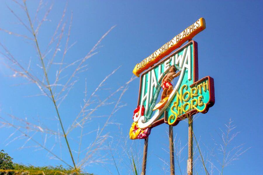 Honolulu: Oahu Island Full-Day Guided Tour by Bus with Lunch - Lunch, timing, and the $170 question