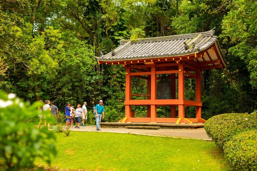 Honolulu: Oahu Island Full-Day Guided Tour by Bus with Lunch - Nuʻuanu Pali, where the day starts with a view