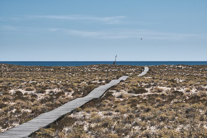 Hop On Hop Off 3 Islands: Deserta, Farol and Culatra - Culatra: the island with daily life