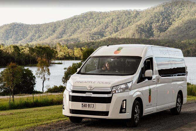 Hop on Hop Off Bus - Tamborine Mountain - Why Tamborine Mountain works well as a day trip
