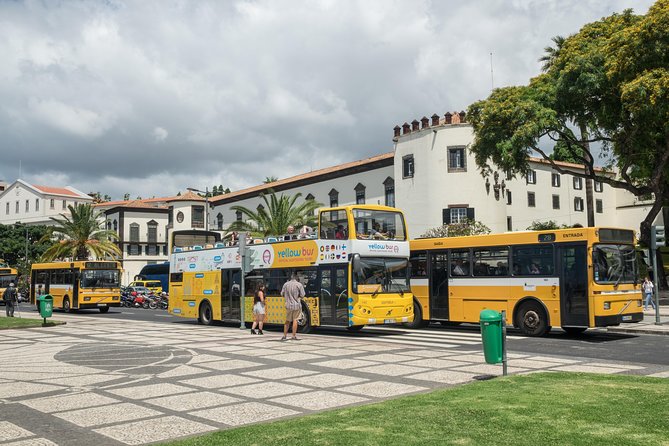 Hop-on Hop-off Bus Tour and Catamaran Whale & Dolphin Watching - Câmara de Lobos adds a fishing-town change of pace