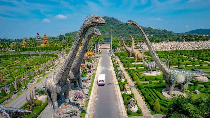 Hop-On Hop-Off Bus Tours and Nongnooch Pattaya Combo - The elephant show and what to consider