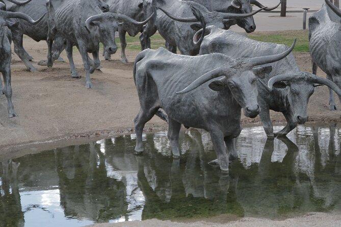 Hop On Hop Off Dallas Tour - The sights: Dealey Plaza and the wider city