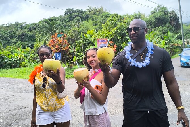 Hop on Hop Off Grenadian Food Tour - A Grenadian day built around food and the road