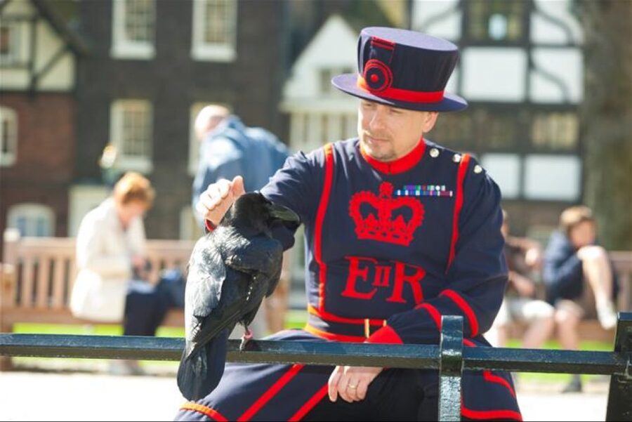 Hop on Hop off London Bus Tour & Tower of London - Big Ben, Westminster, and the royal quarter