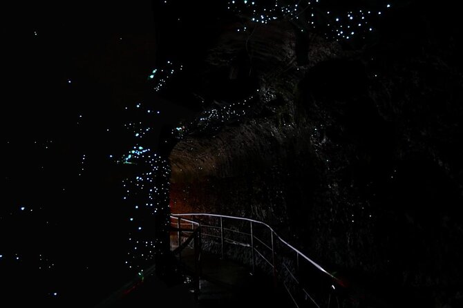 Hop on Hop off - Tamborine Rainforest Skywalk + Glow Worm Caves - Key points at a glance