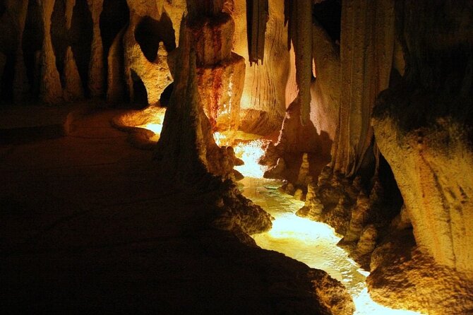 Hop on Hop off - Tamborine Rainforest Skywalk + Glow Worm Caves - Two Tamborine Mountain sights in one day