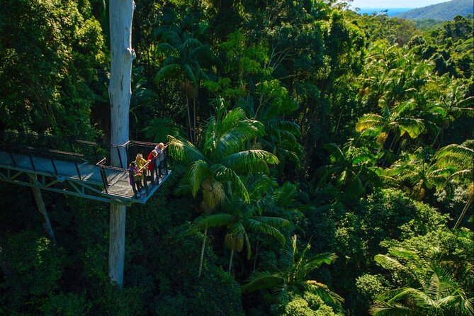 Hop on Hop off - Tamborine Rainforest Skywalk + Glow Worm Caves - Walking the Tamborine Rainforest Skywalk