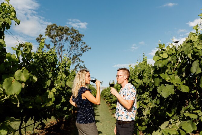 Hop on Hop off Wine tasting tour to Tamborine Mountain - Gallery Walk adds variety to the wine day