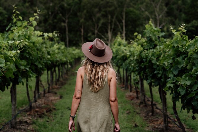 Hop on Hop off Wine tasting tour to Tamborine Mountain - What the guides add to the day