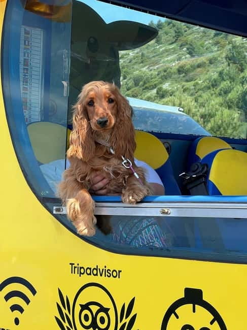 Hop-On Hop-Off Yellow Cabrio Tour: See Dubrovnik in 90mins - The views are the main event
