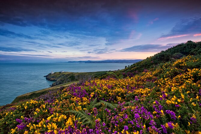 Howth Coastal Half-Day Bus Tour from Dublin with Live Guide - Why Howth makes such a good half-day from Dublin