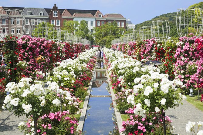 Huis Ten Bosch Full Day Bus Tour From Hakata - Illumination and the choice of return time