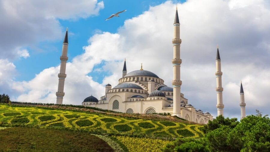 Istanbul: City Hightlights Bus Tour and Bosphorus Cruise - Guides, languages, and the feel of the day