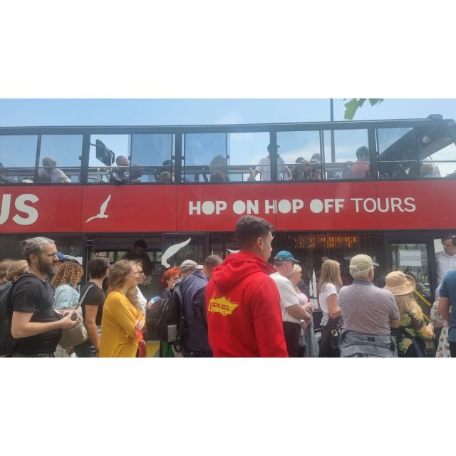 Istanbul: Hop-On Hop-Off Sightseeing Bus with Audio Guide - What the Istanbul bus tour is really good at
