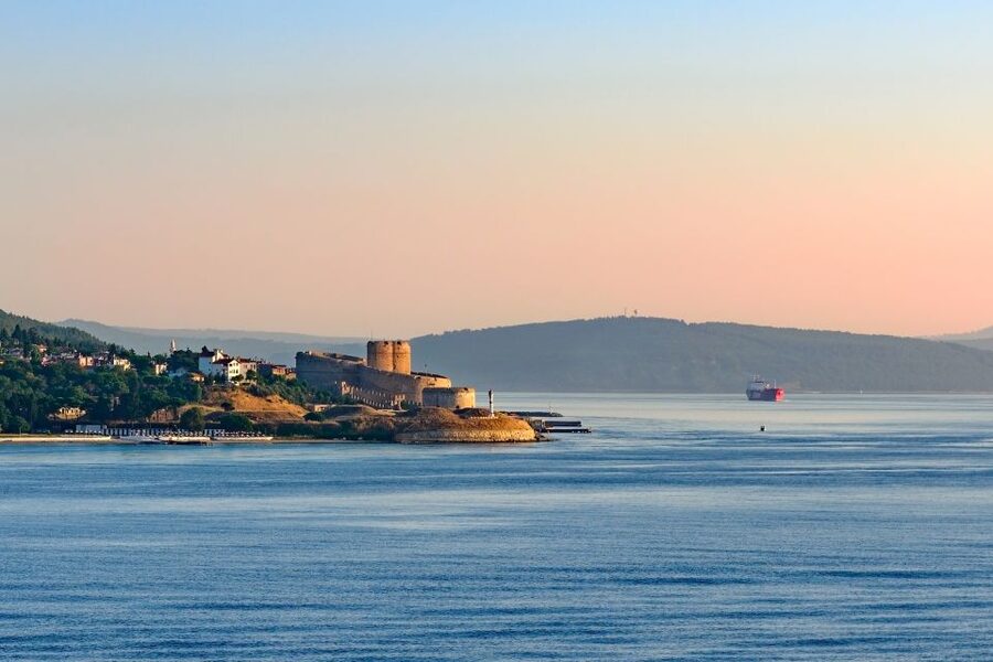 Istanbul: Troy Guided Bus Tour with Ferry Tickets & Lunch - What the guide adds to a difficult site