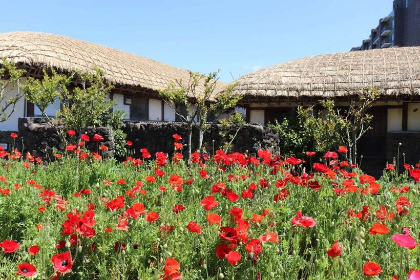 Jeju: East of Jeju Island Bus Tour from Seogwipo City - Food, clothing, and what to bring