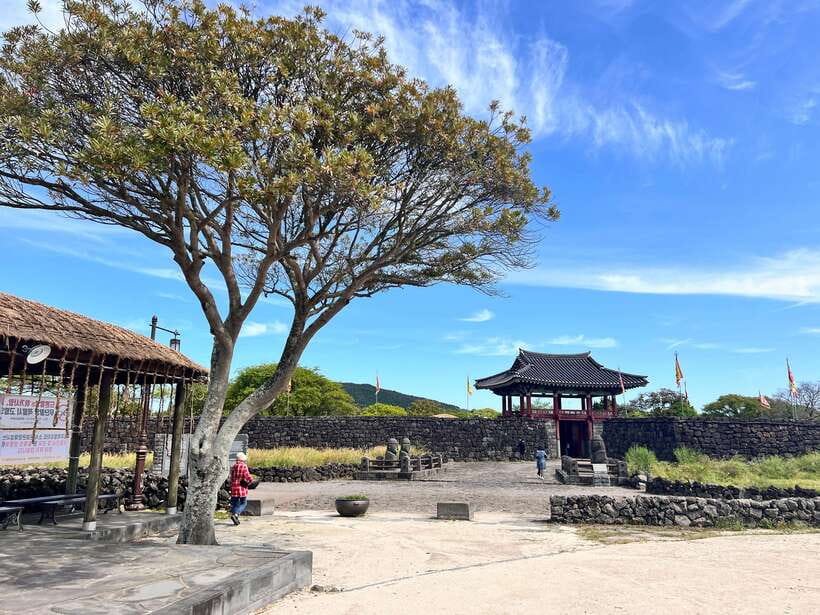 Jeju: East of Jeju Island Bus Tour from Seogwipo City - The coastal road to Seongsan Ilchulbong