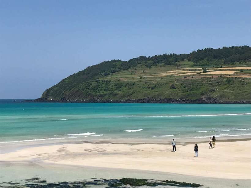 Jeju: East of Jeju Island Bus Tour from Seogwipo City - Manjanggul Cave and the current closure