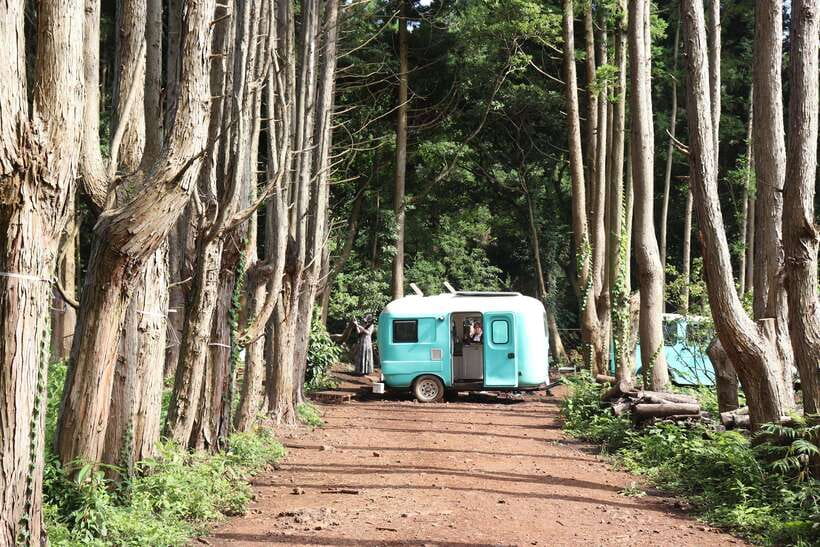 Jeju: East of Jeju Island Bus Tour from Seogwipo City - A long day made easier by the guide