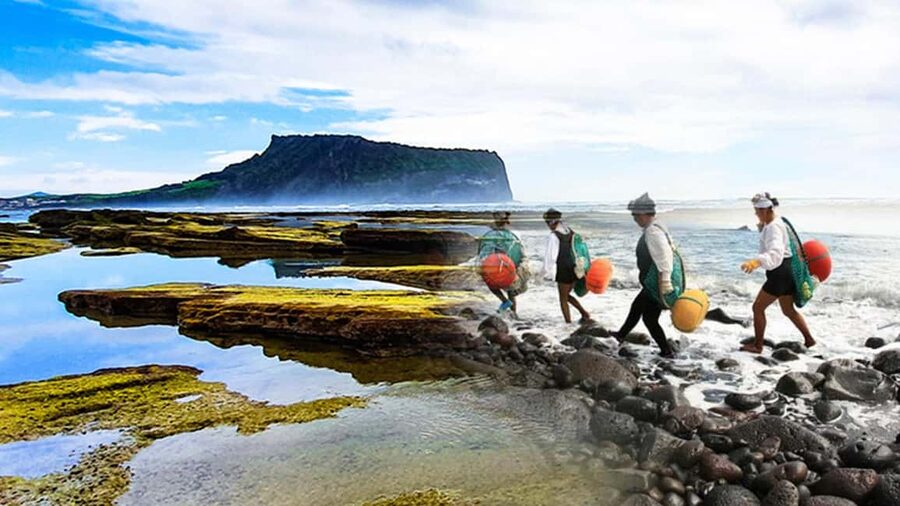Jeju Island: Full-Day East Jeju Bus Tour with Entry Fees - Lunch, transport, and the real value of $43