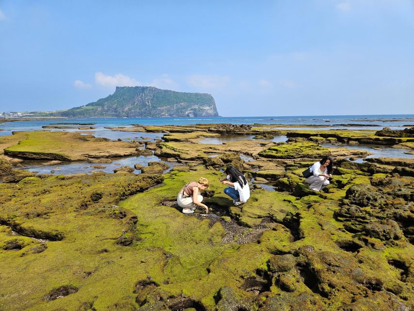 Jeju Island: Full-Day East Jeju Bus Tour with Entry Fees - Hamdeok Beach is a smart final stop