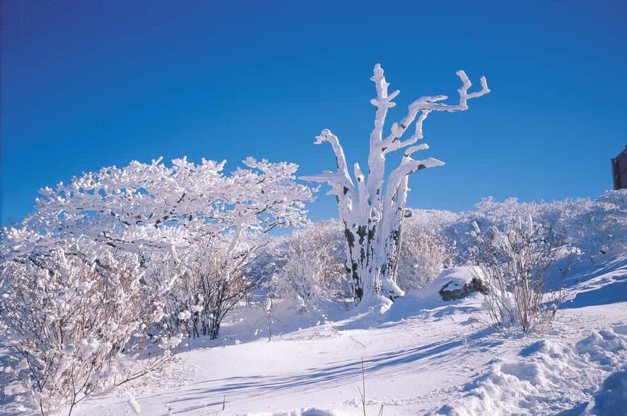 Jeju Island: Full-Day East Jeju Bus Tour with Entry Fees - Inside Micheongul Cave at Ilchulland