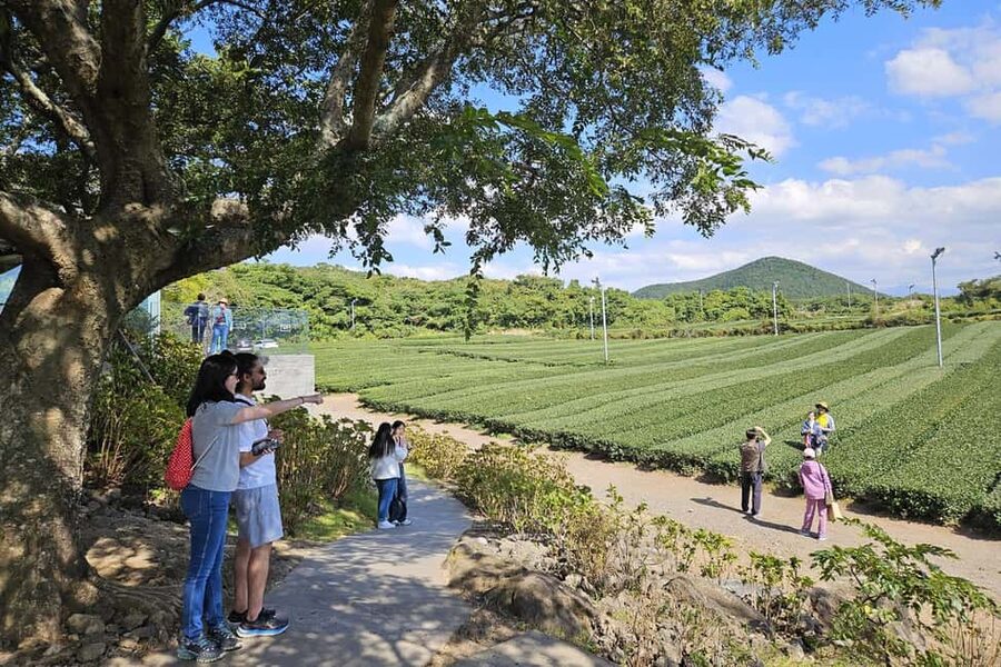 Jeju Island: Full-Day SouthWest Bus Tour with Entry Fees - Why this southwest route works in one long day