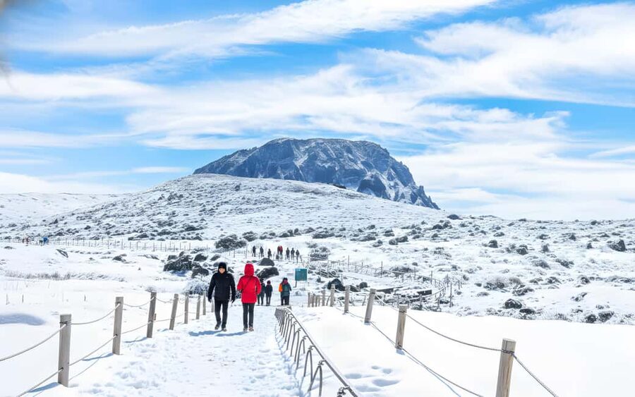 Jeju Island: Full-Day SouthWest Bus Tour with Entry Fees - Jusangjeolli Cliff: Jeju’s best volcanic geometry