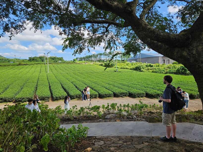 Jeju Island: Full-Day SouthWest Bus Tour with Entry Fees - Lunch, transport, and what the $43 really buys