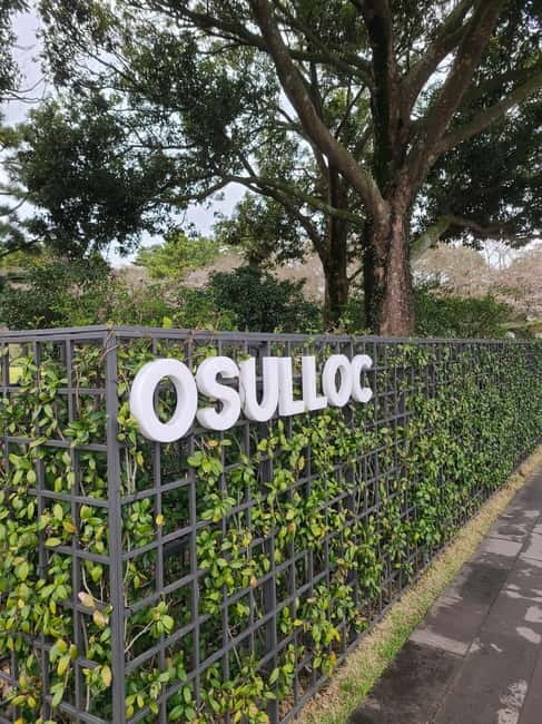 Jeju Southern: Mt.Hallasan and UNESCO Geopark Bus Tour - Jusangjeolli shows what cooling lava can do
