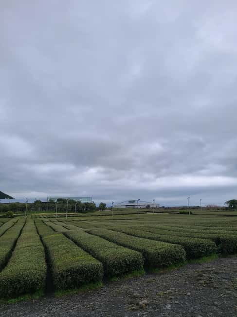 Jeju Southern: Mt.Hallasan and UNESCO Geopark Bus Tour - Oedolgae adds a quieter coastal story