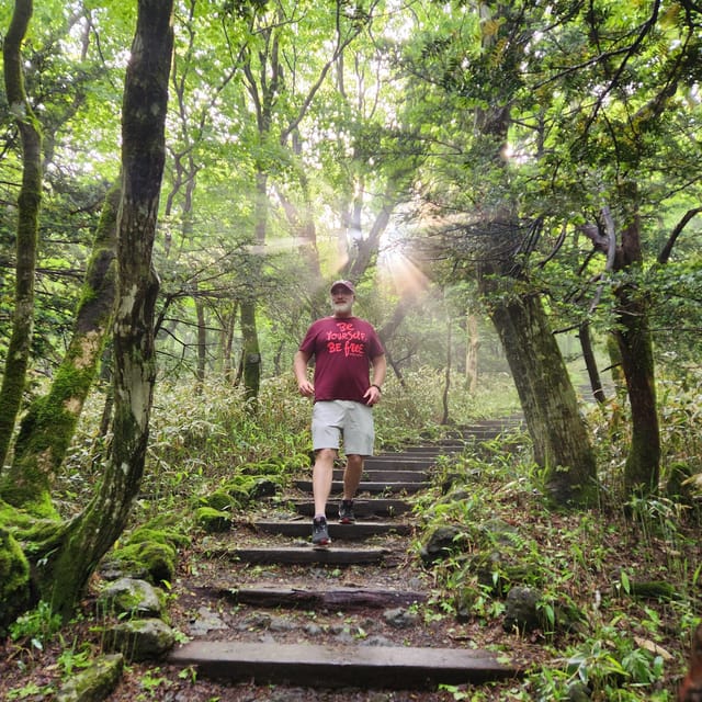 Jeju Southern: Mt.Hallasan and UNESCO Geopark Bus Tour - Guides make the packed schedule manageable