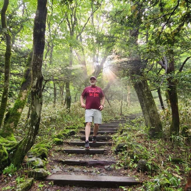Jeju Southern: Mt.Hallasan and UNESCO Geopark Bus Tour - What the $51 price really covers