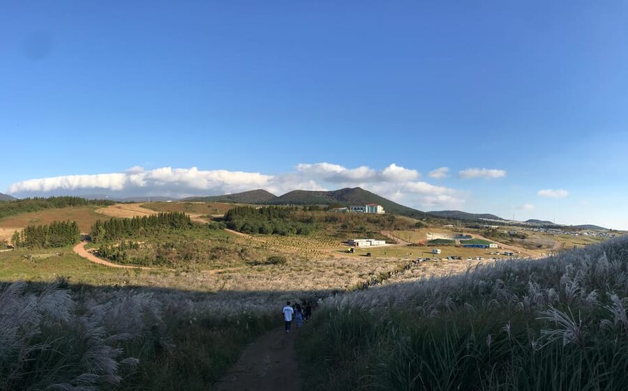 Jeju: West of Jeju Island Bus Tour from Seogwipo City - Pickup, return, and practical details
