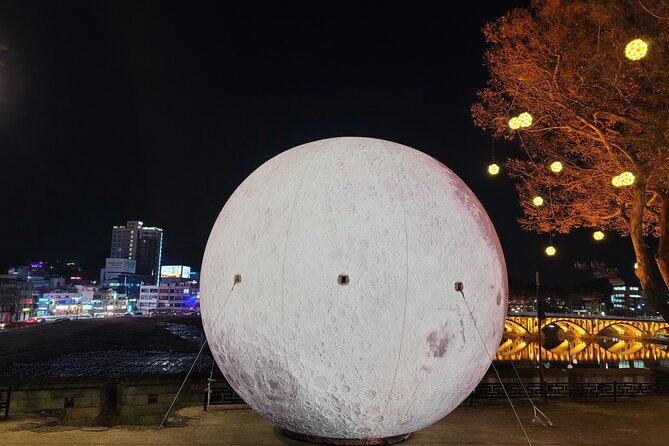 Jinju Namgang Yudeung Festival Bus tour from Busan - Suyang’s photo help is a useful extra
