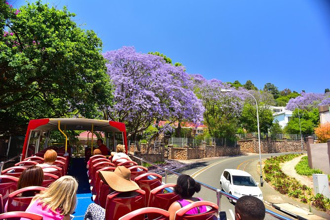 Johannesburg Hop-On Hop-Off City Tour with Soweto Option - Johannesburg Zoo and the military museum