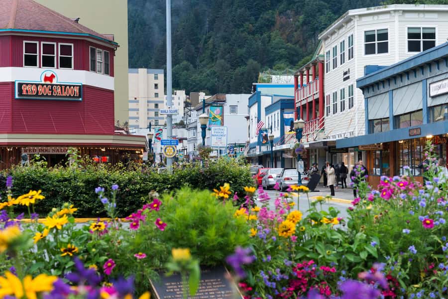 Juneau: City Highlights Bus Tour - Why this short Juneau tour works