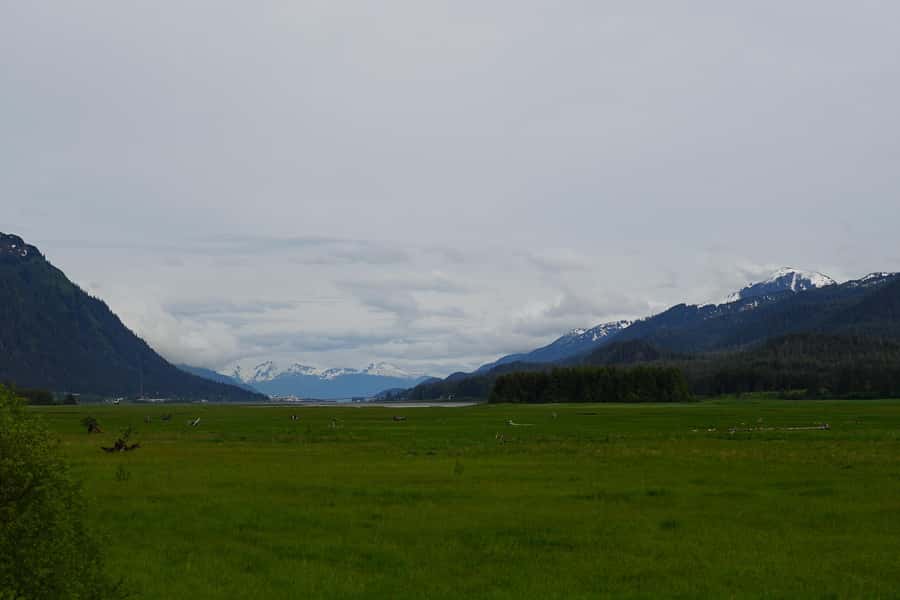 Juneau: City Highlights Bus Tour - The guides are part of the value