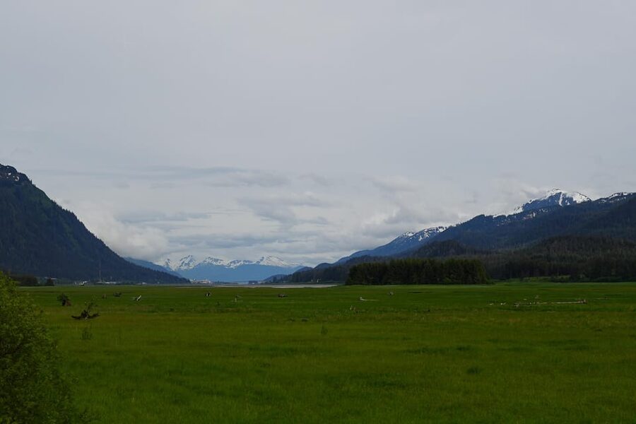 Juneau: City Highlights Bus Tour - Is $51 a fair price?