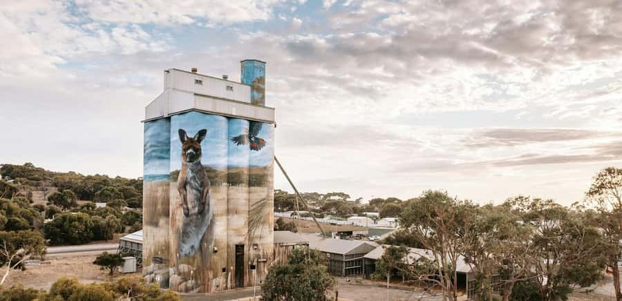 Kangaroo Island: Half-Day Tour Guided Coach Tour - The commercial focus and the group-size question