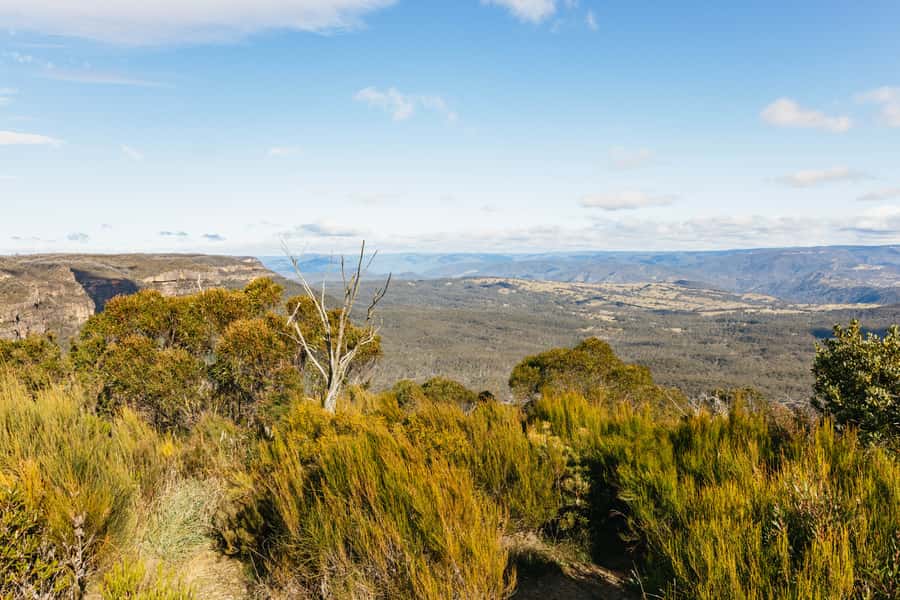 Katoomba: Lyrebird Hop-On Hop-Off and Scenic World Pass - Why the early bus matters