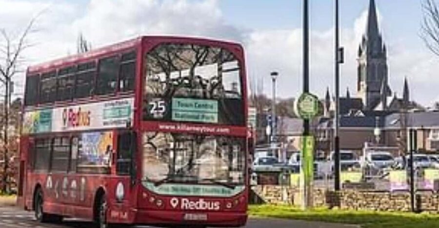Killarney: Hop-On Hop-Off Bus to Killarney National Park - Muckross House, gardens, and a Victorian estate