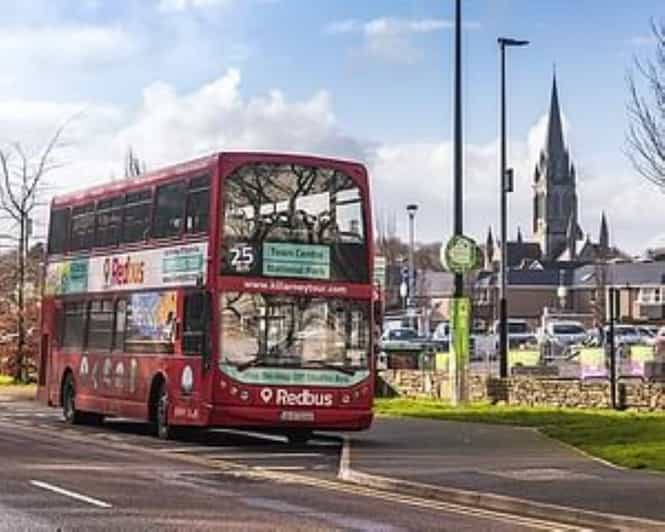 Killarney: Hop-On Hop-Off Bus to Killarney National Park - Torc Waterfall and the forest paths