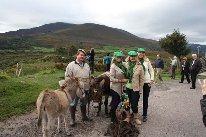 Killarney: Ring of Kerry Bus Tour - Glenbeigh, Rossbeigh Beach, and Kells