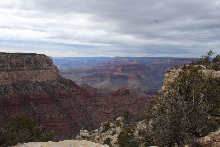 Kingman: Grand Canyon National Park South Rim Bus Tour - Is $130 good value?