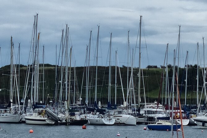 Kinsale/Cork Private and guided taxi tour In modern A/C Minibus - What the minibus adds