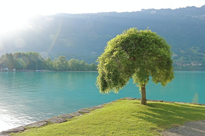 (KTG361) - Interlaken day trip by bus from Geneva - Meeting the coach at 7:15 a.m.