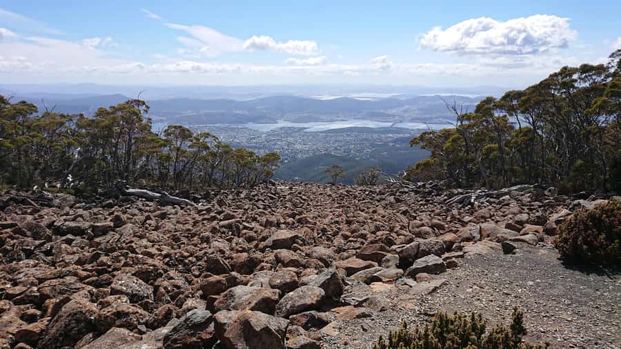 Kunanyi & Mt Wellington Explorer Bus: One-Way Bus Pass - Bringing a mountain bike